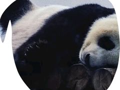 -天津市动物园