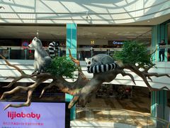 -大族广场Mall&More