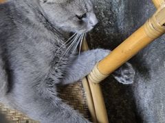 -猫岛主趣味餐厅(鼓浪屿店)