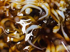-夜烤·宜宾烧烤(洋河路店)