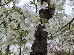 -苏州上方山国家森林公园