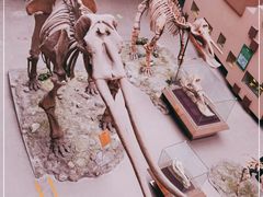 -陕西自然博物馆