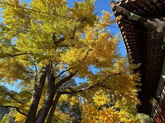 -红螺寺