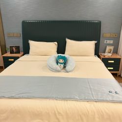 -致友月子会所(麓湖店)