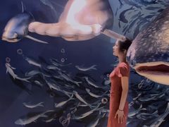 -烟台海昌鲸鲨海洋公园