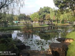 -宁波九龙湖开元度假村