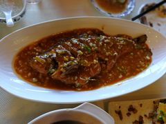 葱烧武昌鱼-九头鸟酒家(四道口店)
