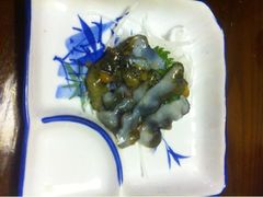 活海参刺身-花月日本料理(奥林匹克大厦店)