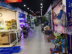 -苏州艺都古玩花鸟市场