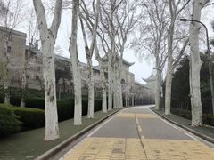 -武汉大学-樱园