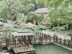 -天怡·鱼工厂(梅溪湖店)