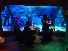 -沈阳海洋探索中心