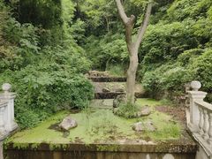 -南京市江宁方山