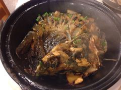 -金龙寨(解西店)