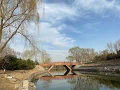 -大兴滨河森林公园