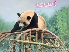 -杭州动物园