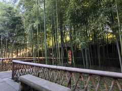 -天一阁博物院