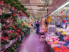 -花鸟鱼虫鲜花绿植市场(玉泉路店)
