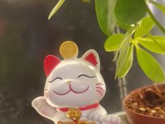 -冯大腕江湖川菜馆(后沙峪店)