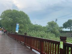 -苏州太湖国家湿地公园