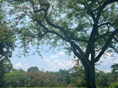 -中国科学院西双版纳热带植物园