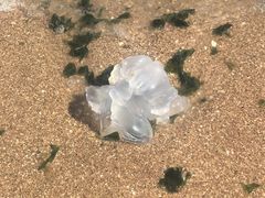 -兴城海滨风景区