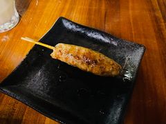 鸡肉丸子-串鑫