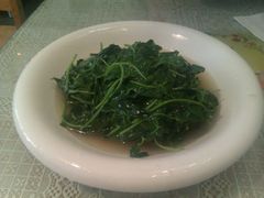 草头-做了不起的80后