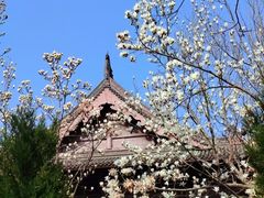 -钱王祠
