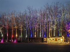 -枫花园汽车电影院(朝阳公园店)