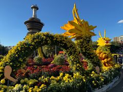 -黑龙江省森林植物园