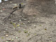 -杭州湖滨银泰in77