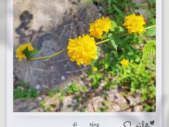 -杭州植物园