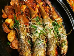 八分钟砂锅焗黄鱼-有喜胶东小馆(太申祥和店)