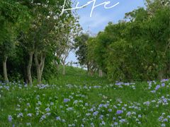 -白鹭湾湿地公园