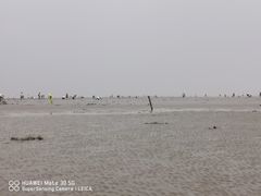 -南汇嘴观海公园