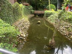 -二荆条·蜀鲜汇城市森林火锅