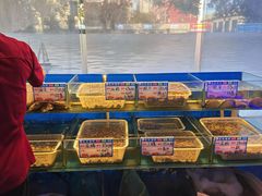 -华盛丰温州大排档(东三环南路店)