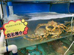 阿拉斯加蟹皇-蚝专家(北滘店)