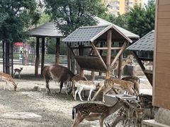 -太原动物园