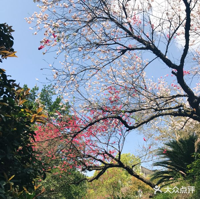 重庆文理学院(星湖校区)图片