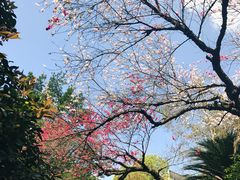 -重庆文理学院(星湖校区)