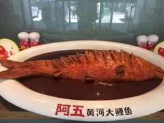 -阿五黄河大鲤鱼(英协路店)