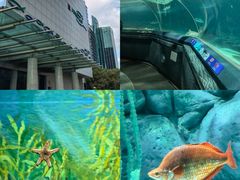 -上海海洋水族馆
