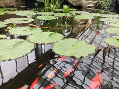 -国家植物园南园