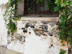 -青果巷历史文化街区