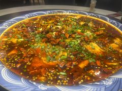 -新概念来凤鱼(璧山店)