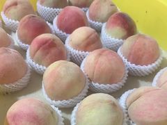 -老袁家蜜桃农场·阳山水蜜桃