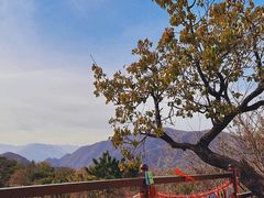 -香山公园