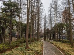 -上海怡沁园度假酒店